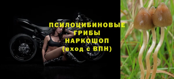 гашишное масло Балахна