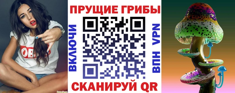 ОМГ ОМГ маркетплейс  Сосновка  Галлюциногенные грибы Psilocybine cubensis 